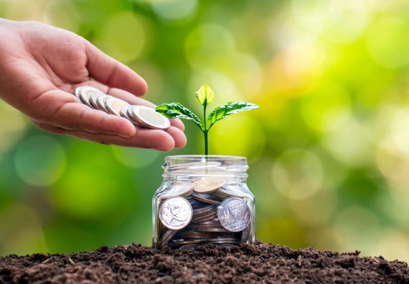 Cara Investasi Reksadana untuk Pemula
